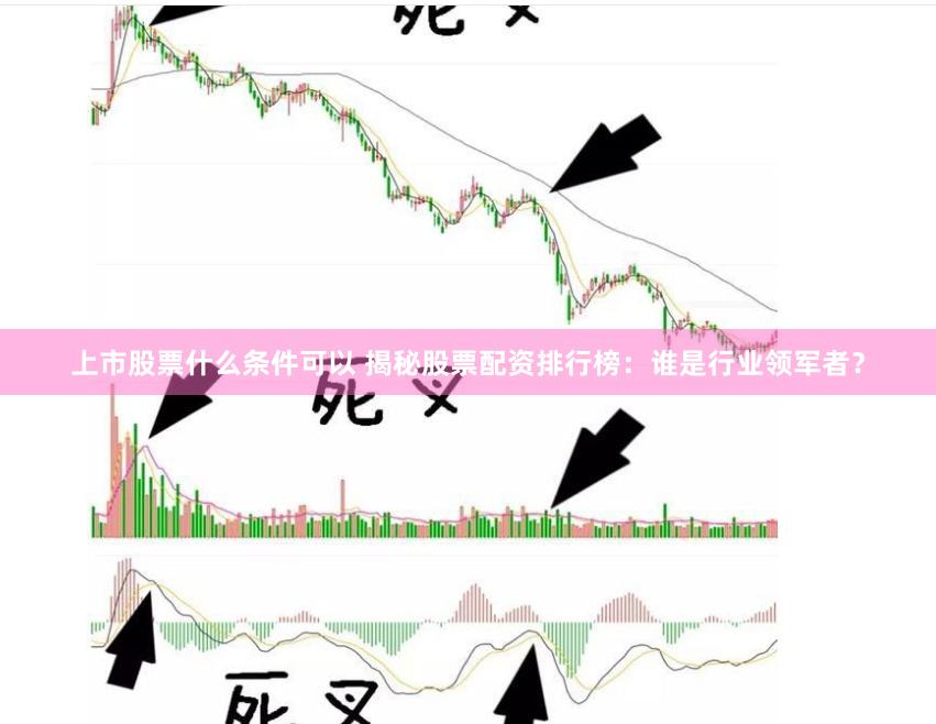 上市股票什么条件可以 揭秘股票配资排行榜：谁是行业领军者？