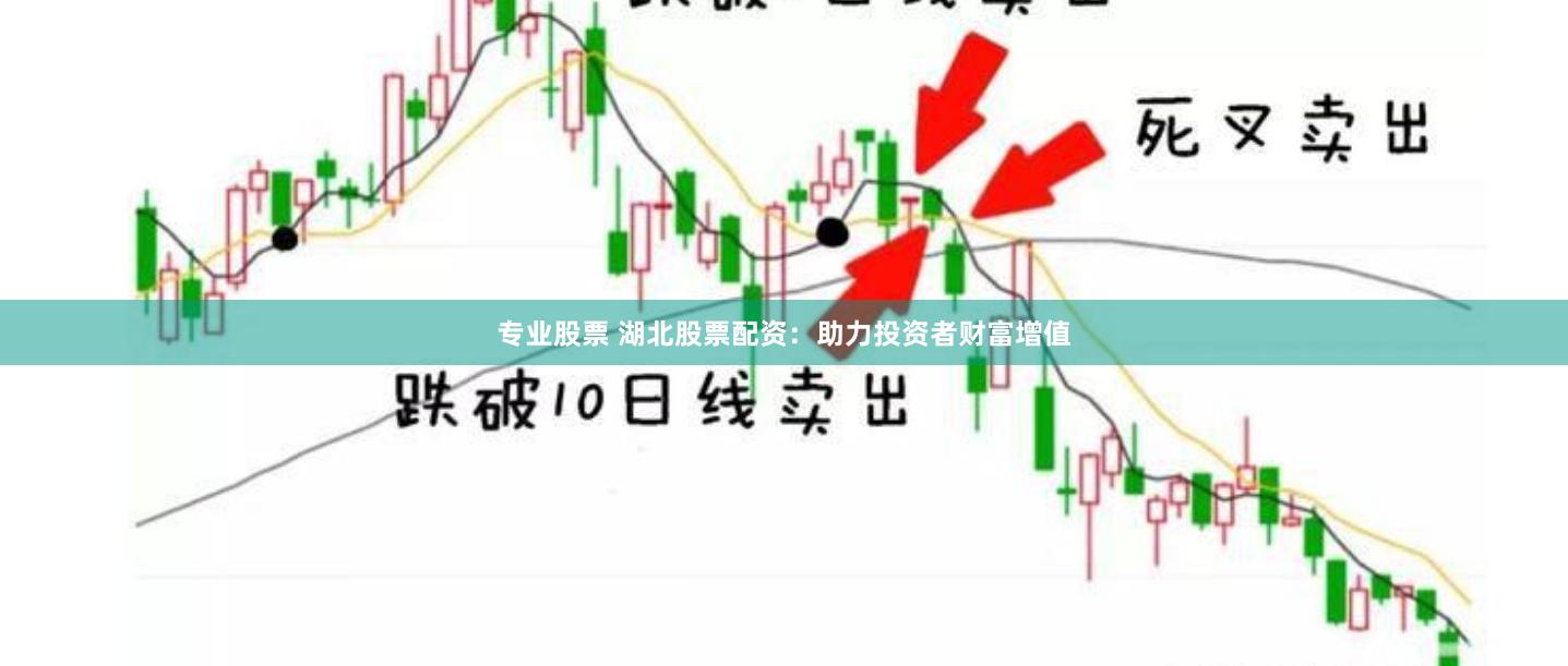专业股票 湖北股票配资：助力投资者财富增值