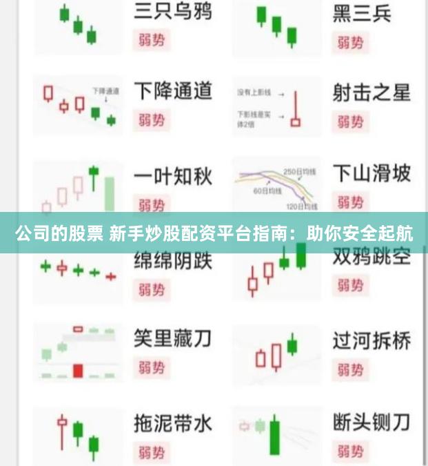 公司的股票 新手炒股配资平台指南：助你安全起航